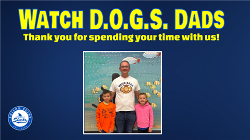 Watch Dogs